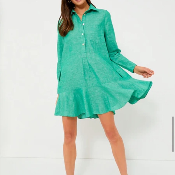 Tuckernuck Green Callahan Button-Up Shirt Dress - Picture 9 of 10